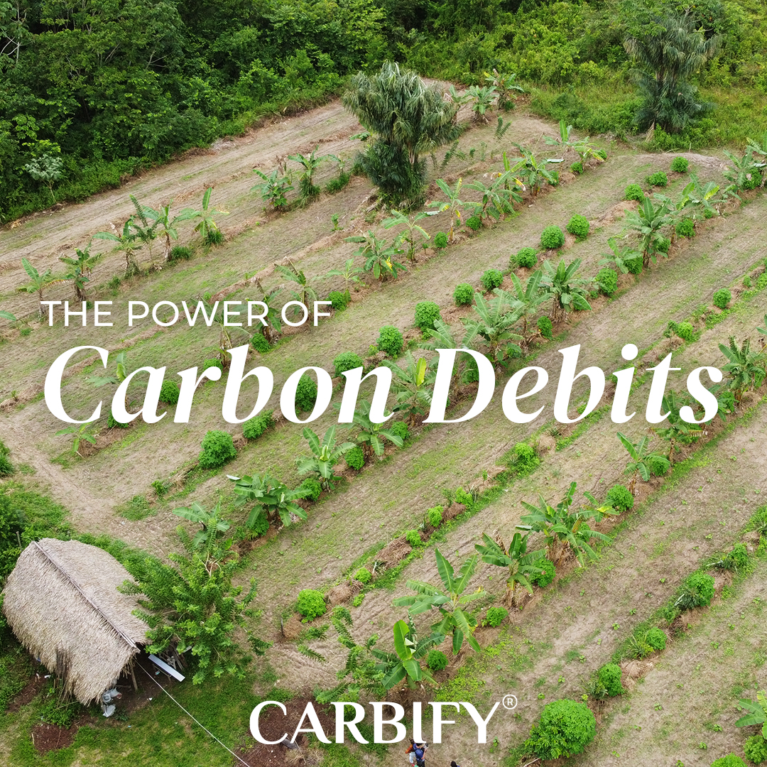 Power of Carbon Debits