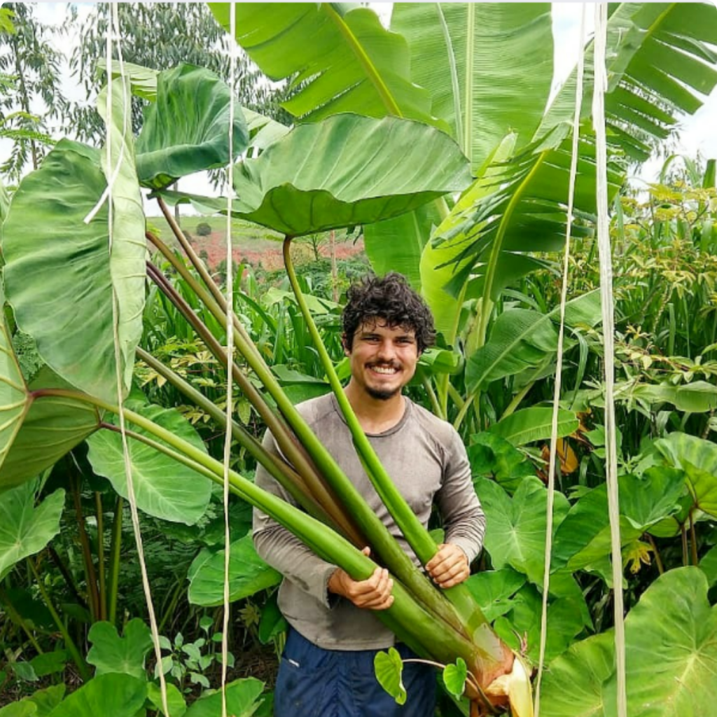 Person who planted trees in the amazon